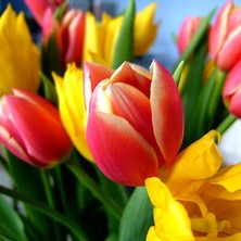 Коллектив ГК "ПИР"  поздравляет вас с самым красивым праздником весны - 8 марта